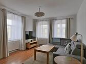 Blick ins Wohnzimmer - (EF1106_M) Dresden: Pieschen-Süd, hübsche, möblierte Dach-Wohnung mit WLAN und Waschmaschine nahe der Elbe