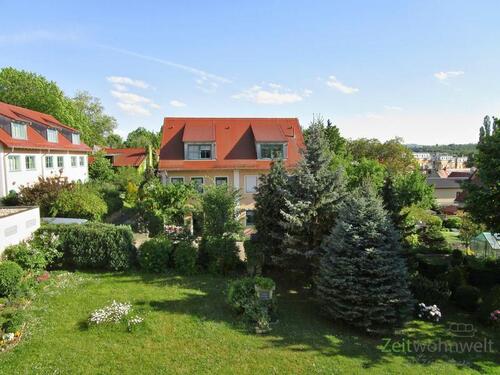 Blick in den Garten - 