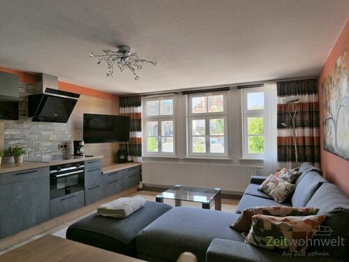 Blick zum TV - 2 Zimmer Etagenwohnung zur Miete in Erfurt