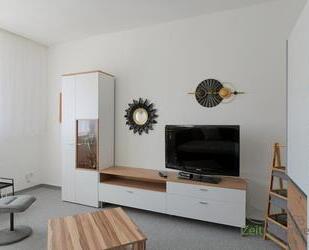 (EF1272_M) Halle: Reideburg, möbliertes Apartment mit sonniger Dachterrasse und separatem Zugang - Halle (Saale)
