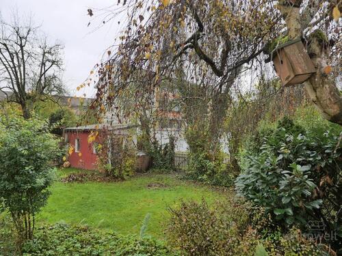 Novemberblick in den kleinen Garten - 