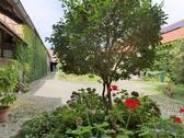Ausblick in den grünen Innenhof - 