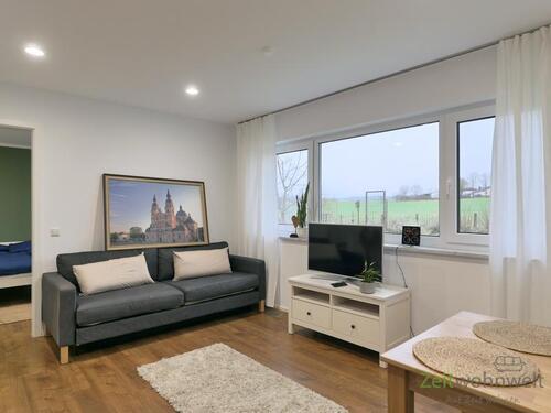 Blick zum Sofa - (EF1374_M) Fulda: Hofbieber, Erstbezug in neu möblierte Wohnung mit separatem Hauseingang, ruhige Ortsrandlage