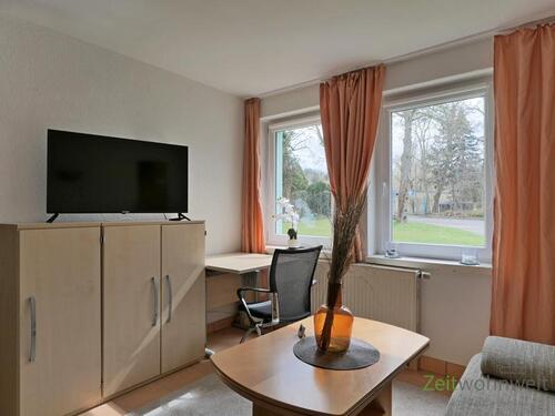 TV und Schreibtisch - 1 Zimmer Etagenwohnung in Erfurt