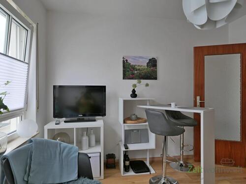 TV und kleiner Tresen - 2 Zimmer Etagenwohnung zur Miete in Dresden