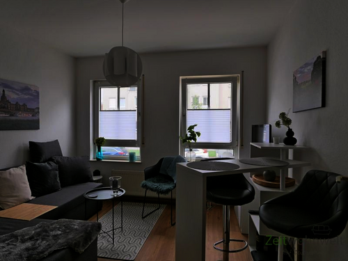 Blick ins Wohnzimmer - (EF1070_M) Dresden: Laubegast, preiswertes möbliertes 2-Zimmer-Apartment, TG-Stellplatz möglich