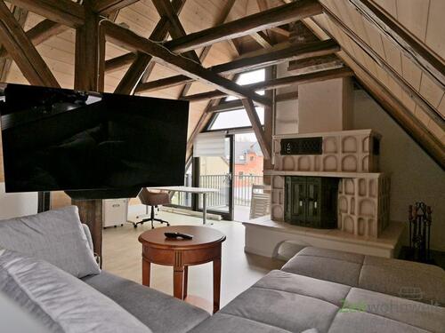 XXL-TV und Kamin - 2 Zimmer Etagenwohnung zur Miete in Dresden