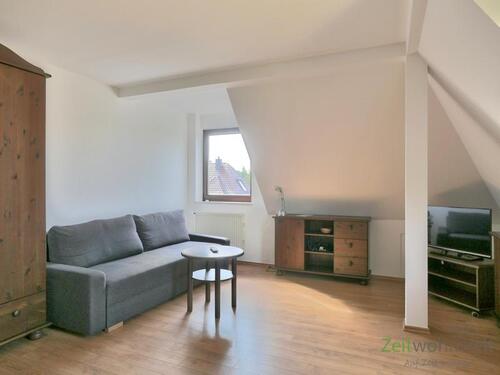 Sofa und TV im Wohnzimmer - 2 Zimmer Etagenwohnung zur Miete in Coswig