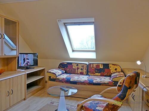 Wohnzimmer mit TV - 1 Zimmer Etagenwohnung in Dresden