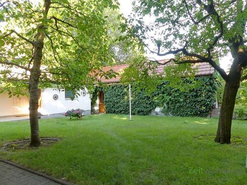 schöner grüner Innenhof - 