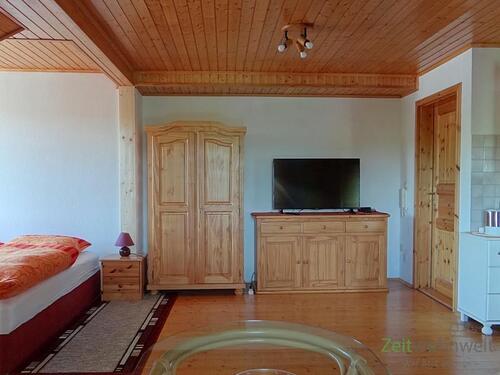 Zimmer-Blick zum TV - 1 Zimmer Etagenwohnung zur Miete in Bad Berka