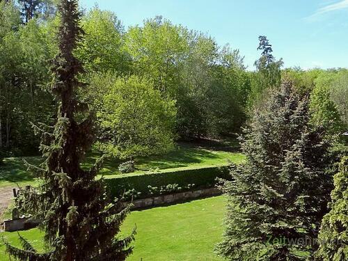 Blick in den Garten - 