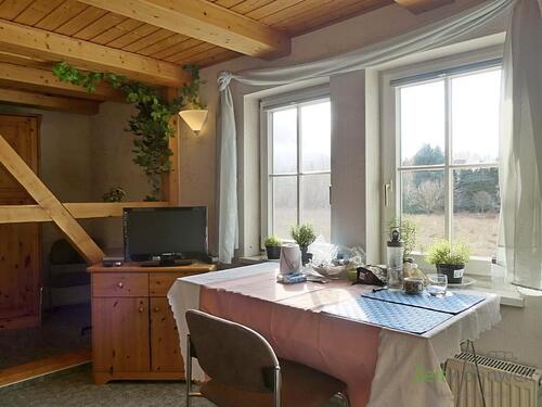 Esstisch und TV - 1 Zimmer Etagenwohnung zur Miete in Erfurt