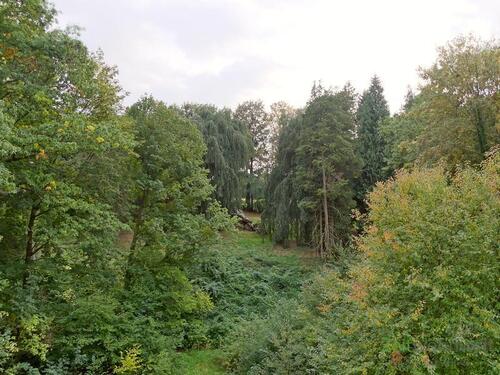 Blick aus dem Fenster in den Park - 