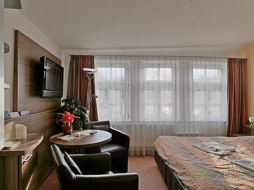 Blick zur Fensterfront - 1 Zimmer Etagenwohnung in Erfurt