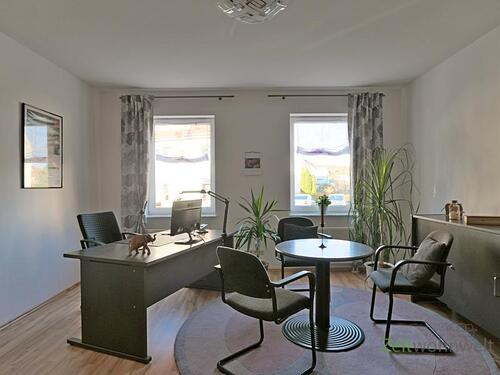 Blick ins Arbeitszimmer - 