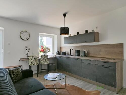 Küchenzeile mit Tresen - 1 Zimmer Etagenwohnung zur Miete in Irxleben