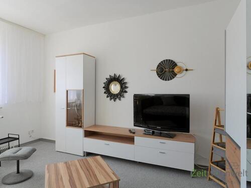 Blick zu Schrankwand und TV - (EF1272_M) Halle: Reideburg, möbliertes Apartment mit sonniger Dachterrasse und separatem Zugang