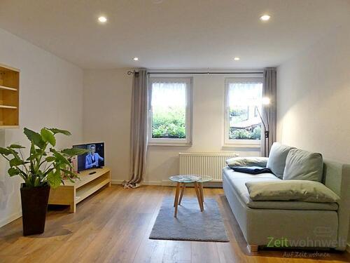 Wohnzimmer - (EF0582_M) Jena: Ziegenhain, neu möblierte 2-Zimmer-Wohnung in einem denkmalgeschützten, historischen Gebäude, WLAN