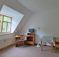 (EF0799_M) Dresden: Strehlen, kleines möbliertes Apartment, preiswert für Wochenendheimfahrer, WLAN inklusive