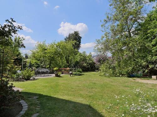 Blick in den Garten - 