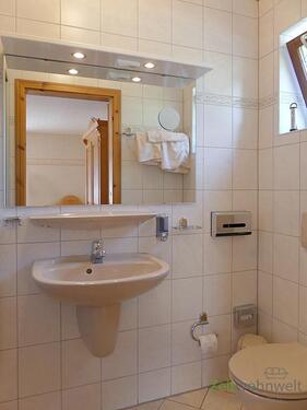 Spiegel und WC - 1 Zimmer Etagenwohnung in Dresden