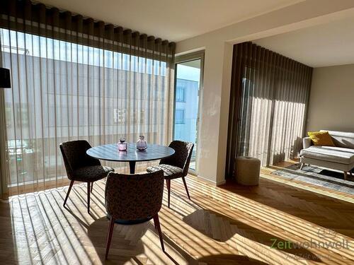 neue Gardinen - 2 Zimmer Etagenwohnung zur Miete in Dresden