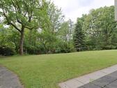 gepflegtes Grundstück am Haus - 