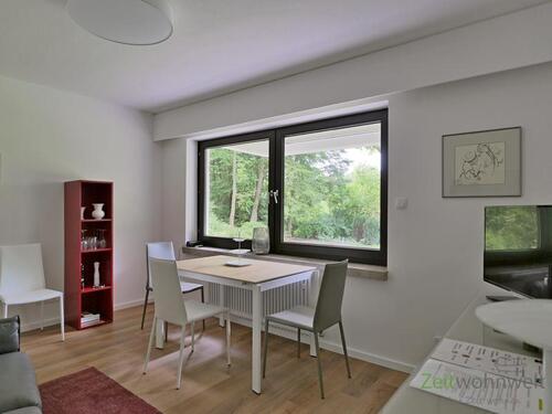 Blick ins Wohnzimmer - (EF1018_M) Kassel-Stadt: Brasselsberg, moderne möblierte Wohnung mit sep. Hauseingang, Terrasse, Grundreinigung