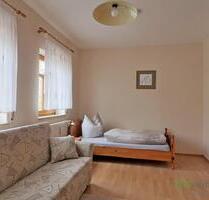 (EF0991_M) Dresden: Mickten, möbliertes Apartment mit Dusche nahe der Elbe, an Wochenendheimfahrer