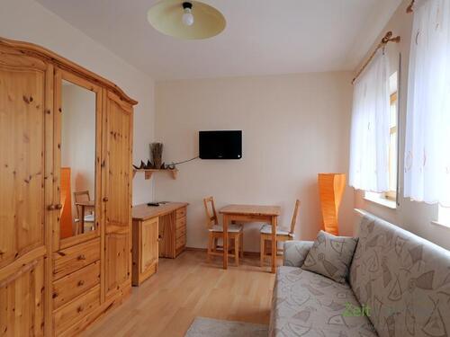 Blick in den Wohnraum - 1 Zimmer Etagenwohnung zur Miete in Dresden