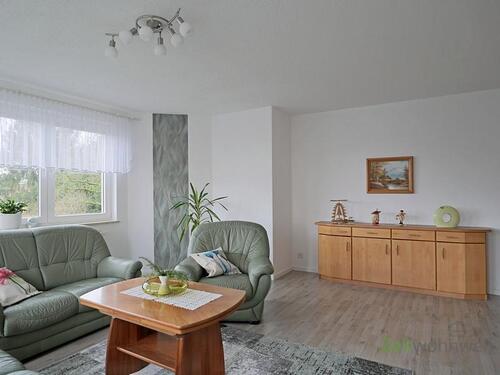 Sideboard im Wohnzimmer - (EF0877_M) Chemnitz: NeukirchenErzgeb., Bezug in neu renovierte und möblierte 2-Zimmer-Wohnung, ruhige Wohnlage