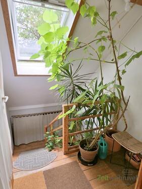 Blick in den Treppenaufgang - 