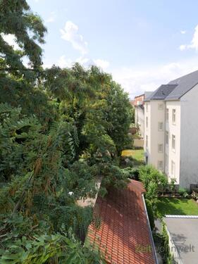 Blick zum Garten - 