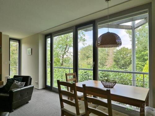 phantastischer Wohnzimmerausblick - 2 Zimmer Etagenwohnung zur Miete in Dresden