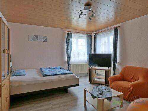 Blick in den Wohnraum - 1 Zimmer Etagenwohnung zur Miete in Freital