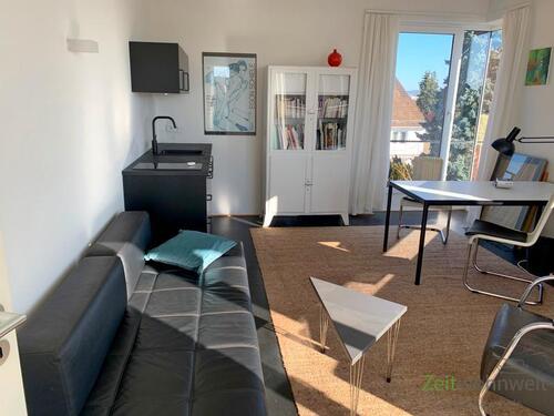Wohnzimmer mit Küchenblock - (EF1353_M) Kassel-Stadt: Niederzwehren, neu möbliertes Apartment mit Dachbalkon in ruhiger Lage, PKW-Stellplatz