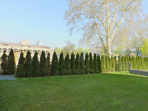 der eigene Garten - 
