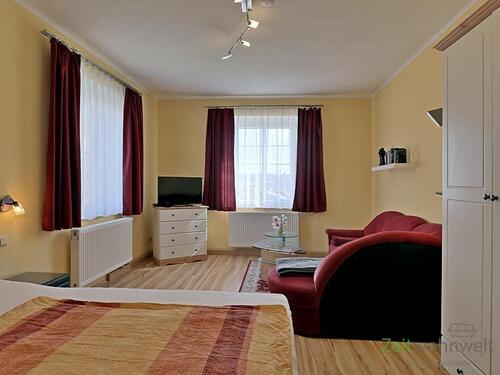 Wohncouch und TV - (EF0680_M) Eisenach: Eisenach, möbliertes Apartment in einer Villa mit Terrasse und Garten, Reinigungsservice inklusive