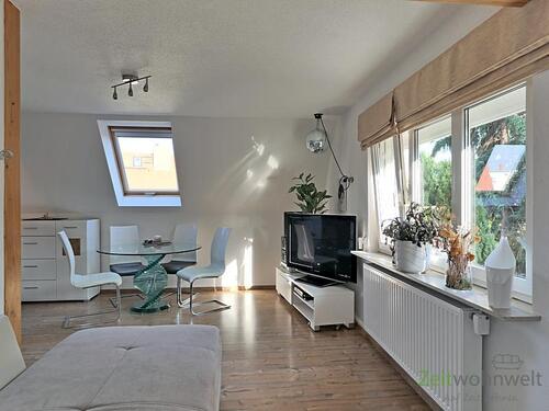 Blick vom Sofa zum TV - 2 Zimmer Etagenwohnung zur Miete in Dresden