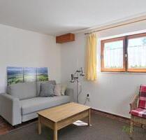 (EF1378_M) Fulda: Schlitz, möbliertes 1-Zimmer-Apartment mit sep. Eingang im Souterrain, Grundreinigung inklusive