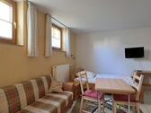 TV an der Wand - 1 Zimmer Etagenwohnung zur Miete in Dresden