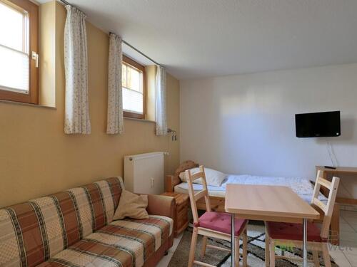 TV an der Wand - 1 Zimmer Etagenwohnung zur Miete in Dresden