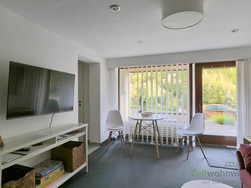 Blick zu TV, Esstisch und Eingang - (EF1315_M) Erfurt: Brühlervorstadt, kleines möbliertes 2-Zimmer-Apartment mit Terrasse, an Wochenendheimfahrer