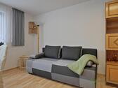 Schlafcouch - 1 Zimmer Etagenwohnung in Erfurt
