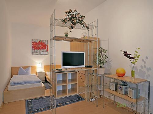 Raumteiler, TV und Bett - (EF0670_M) Jena: Süd, kleines möbliertes Apartment, WLAN inklusive