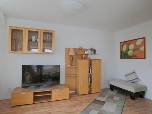 TV und Schrankwand - 3 Zimmer Etagenwohnung zur Miete in Halle (Saale)