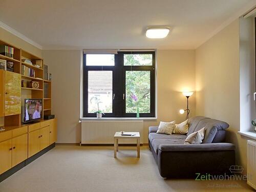 Blick ins Wohnzimmer - (EF0567_M) Dresden: Langebrück, großzügige, möblierte 2-Zimmerwohnung in ruhiger Villa mit grünem Garten, WLAN inklusive