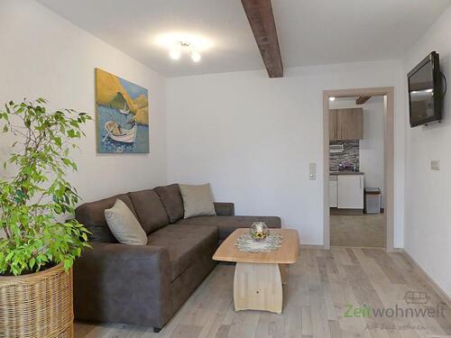 Schlafcouch und TV - 2 Zimmer Etagenwohnung in Erfurt