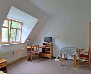 (EF0799_M) Dresden: Strehlen, kleines möbliertes Apartment, preiswert für Wochenendheimfahrer, WLAN inklusive